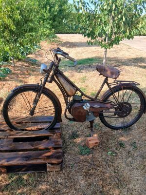 un vélo posé sur une palette dans l'herbe