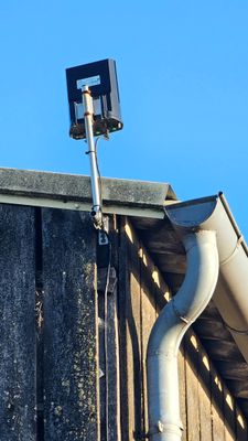 a bird that is sitting on the roof of a building
