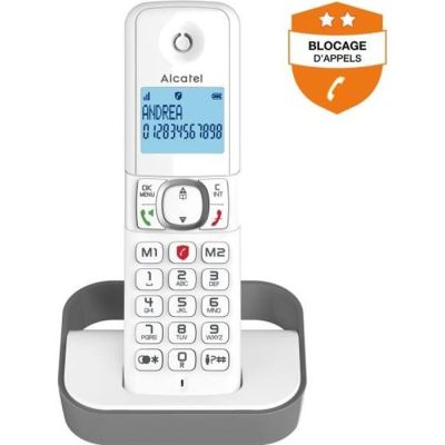 10004-929 / Téléphone fixe sans fil sans répondeur F860 - Solo - Gris 
