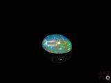 an oplite in the dark with a black background