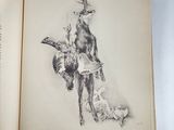 an open book with a drawing of a goat on it ' s back