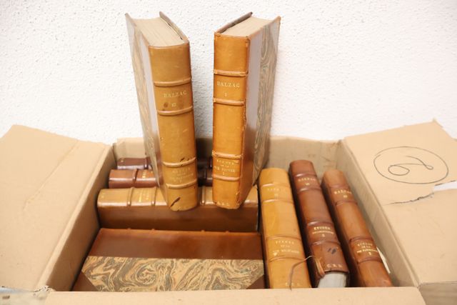 Carton : Balzac : la comédie humaine, 1869, 20 volumes ,1/2 reliu...