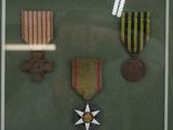 a picture of a framed picture with medals on it