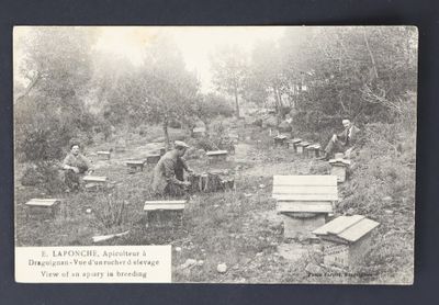 une photo en noir et blanc représentant un groupe d'hommes travaillant dans les bois
