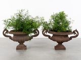 deux grandes jardinières remplies de plantes, posées sur un sol en béton