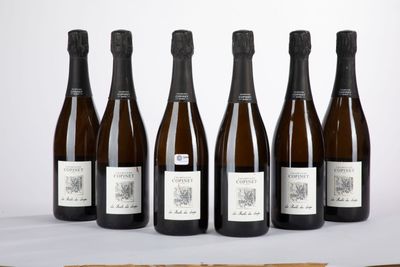 six bouteilles de vin posées sur une table à côté d'une bouteille de vin