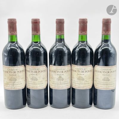 six bouteilles de vin sont alignées sur une surface blanche