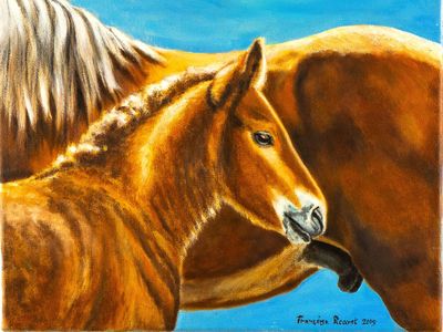 "LOT 28 : Françoise PICAVET Passionnée par les chevaux, Fran…