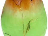 a green and orange vase with a flower painted on it