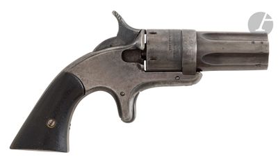 a close up of a revolver on a white background