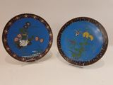 two decorative plates with birds and flowers on them on a white surface