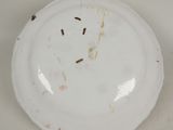 a white plate that has a lot of dirt on it