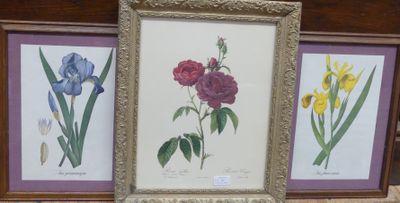 three framed pictures of flowers displayed on a shelf in a room