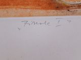Photo 3/4 du lot