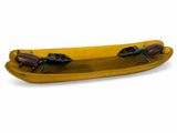 plateau rectangulaire jaune sur lequel se trouvent deux insectes, sur fond blanc