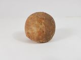 an image of a potato on a white surface