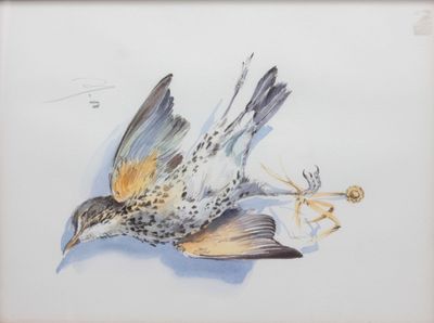 un dessin représentant un oiseau avec une araignée sur le dos