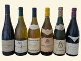 six bouteilles de vin sont alignées sur un fond blanc