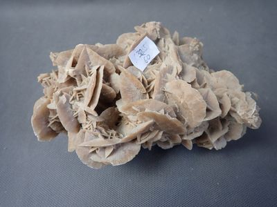 Rose des sables , L 17 cm