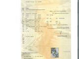 l'image d'un document sur lequel figure la photo d'une personne
