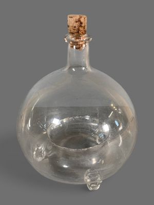 une bouteille en verre transparent munie d'un bouchon en liège