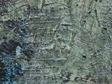 a close up of a painting of a bird on a tree