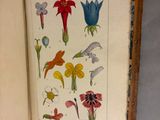 someone is holding a book with a bunch of flowers on it