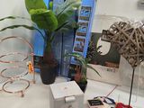 a table with various items on it and a plant in a pot