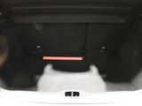 a cat sitting in the trunk of a car