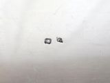 a picture of a silver plate with a black and white picture on it