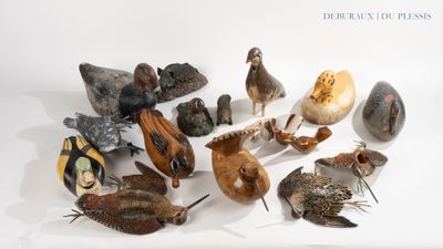 de nombreux types d'oiseaux exposés sur la table