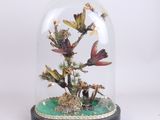 une coupole en verre contenant une plante