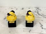 deux oiseaux jaunes perchés l'un sur l'autre