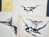 three black and white ink drawings of birds on a sheet of paper
