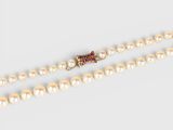 a close up of a pearl necklace with a gold clasp