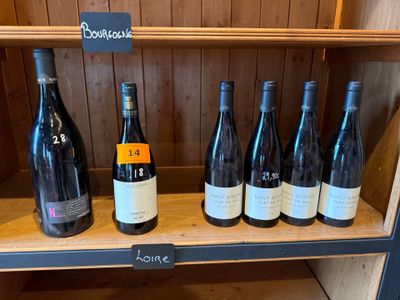 Plusieurs bouteilles de vin sont posées sur une étagère dans un caviste
