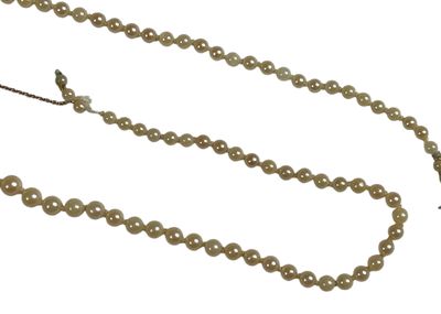 gros plan d'un collier de perles sur fond blanc