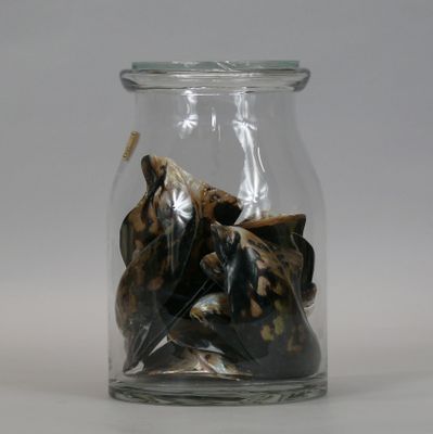 a glass jar filled with nuts on a white surface
