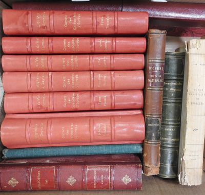 a lot of books that are stacked up on a shelf