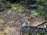 many bins that are sitting in the middle of the woods