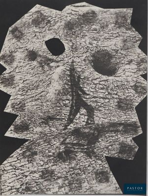 une photo en noir et blanc d'une feuille de papier sur laquelle figure un visage