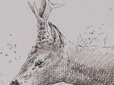 drawing of a deer with antlers on it ' s head in a field