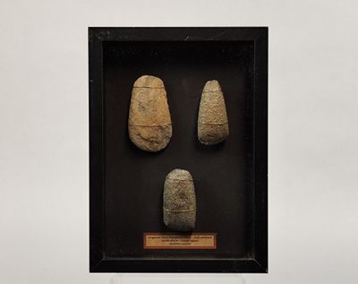 une vitrine contenant trois pierres