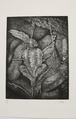 une image représentant un dessin en noir et blanc d'une feuille sur laquelle se trouve un oiseau