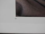 a picture of a picture of a horse in a picture frame
