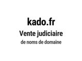 Photo 1/1 du lot