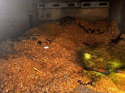 Lot de bois déchiqueté