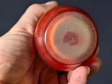 a person holding a glass with a liquid inside of it