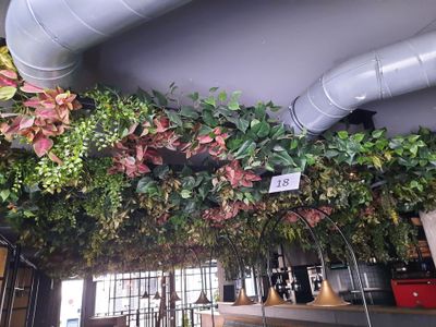 une plante suspendue au plafond d'un restaurant