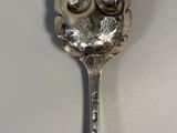 a spoon that has a bunch of grapes on it